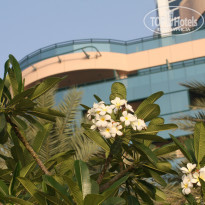 фото из отзыва ID 947449