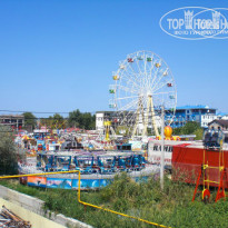 фото из отзыва ID 947647