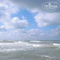 фото из отзыва ID 947647