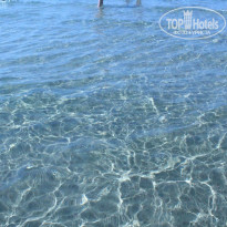 фото из отзыва ID 947486