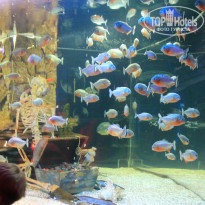 фото из отзыва ID 947486