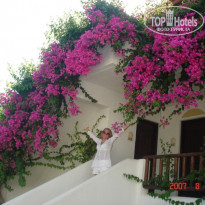 фото из отзыва ID 94831