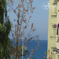 фото из отзыва ID 94853