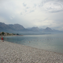 фото из отзыва ID 948129