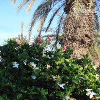 фото из отзыва ID 948241