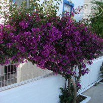 фото из отзыва ID 948241