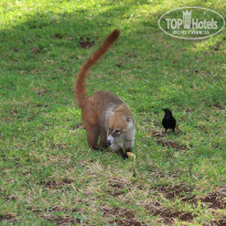 фото из отзыва ID 948320