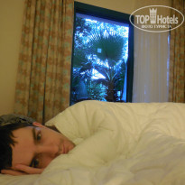 фото из отзыва ID 948449