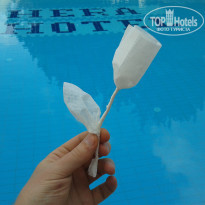 фото из отзыва ID 948698