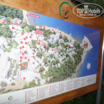 фото из отзыва ID 948953