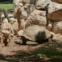 фото из отзыва ID 948247