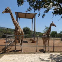 фото из отзыва ID 948247