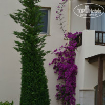 фото из отзыва ID 948009