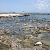 фото из отзыва ID 948009