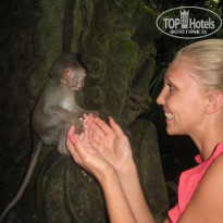 фото из отзыва ID 94987