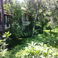 фото из отзыва ID 949288