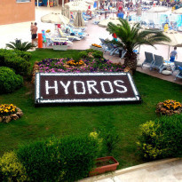 фото из отзыва ID 949342