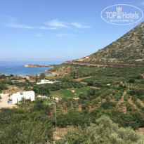 фото из отзыва ID 949552