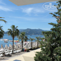 фото из отзыва ID 949606