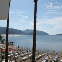 фото из отзыва ID 949606