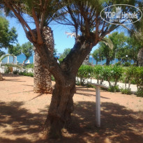 фото из отзыва ID 949757