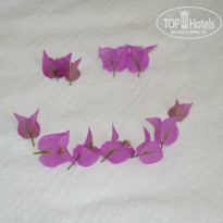 фото из отзыва ID 949940