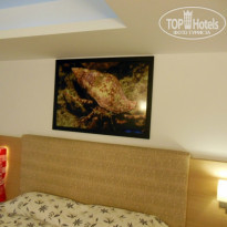 фото из отзыва ID 949601