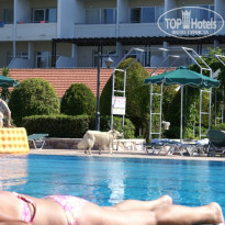 фото из отзыва ID 949258