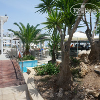 фото из отзыва ID 950070