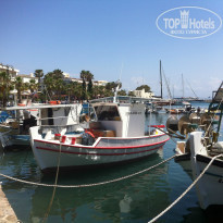 фото из отзыва ID 950115