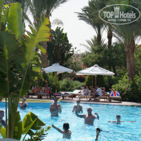 фото из отзыва ID 950215