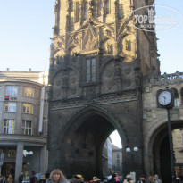 фото из отзыва ID 950388