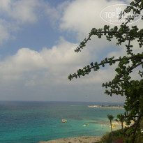 фото из отзыва ID 950428