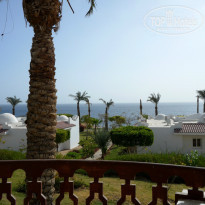 фото из отзыва ID 950485