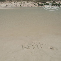 фото из отзыва ID 950310