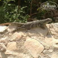 фото из отзыва ID 950684