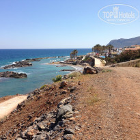 фото из отзыва ID 950809