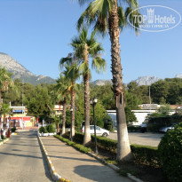 фото из отзыва ID 950940