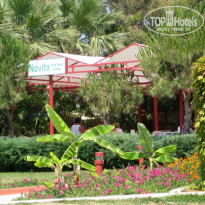 фото из отзыва ID 95127