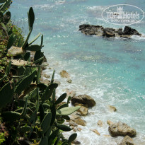 фото из отзыва ID 951193