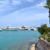 фото из отзыва ID 951284