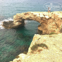 фото из отзыва ID 951646