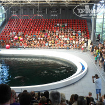 фото из отзыва ID 951754