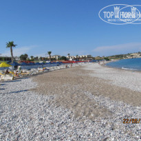 фото из отзыва ID 951997