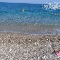 фото из отзыва ID 951997