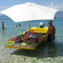 фото из отзыва ID 95239