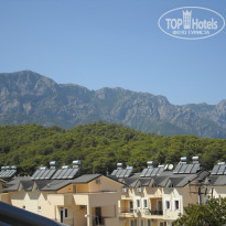 фото из отзыва ID 952501