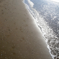 фото из отзыва ID 952567