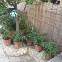 фото из отзыва ID 952653