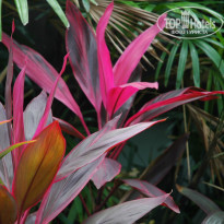 фото из отзыва ID 952695